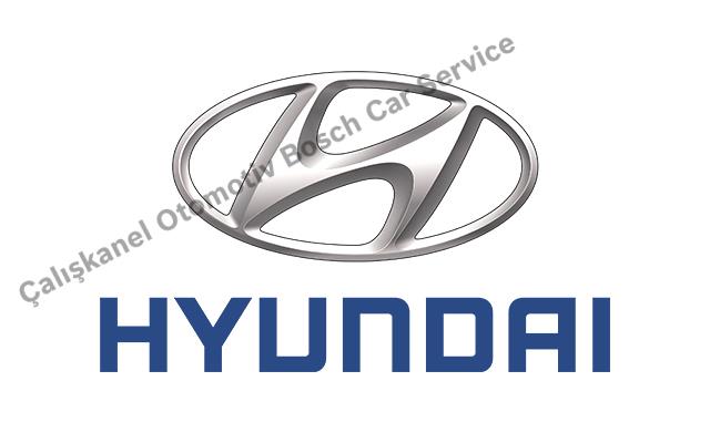 Nilüfer  Hyundai Servisi